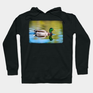 Reflect Hoodie